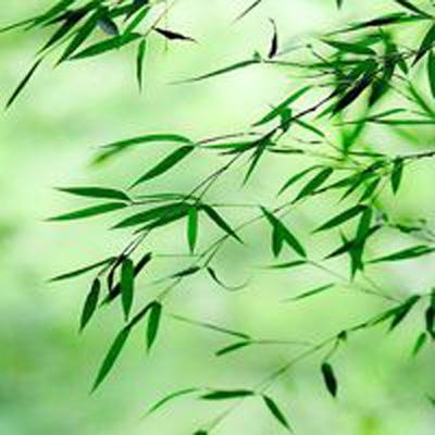 月影混沌剑神(暂未上线)v1.0 安卓版